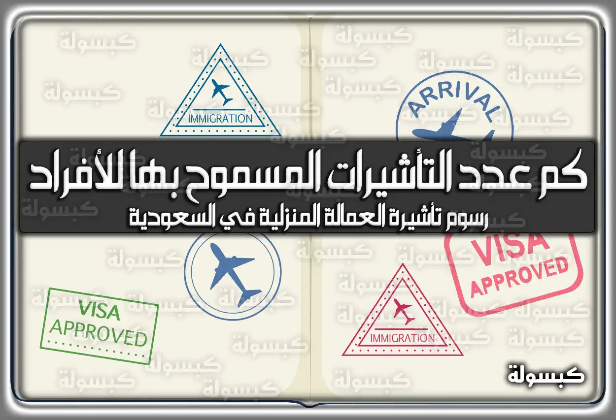 كم عدد التأشيرات المسموح بها للأفراد السعودية ؟